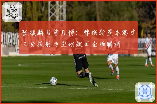 张镇麟与曾凡博:锋线新星本赛季三分投射与空切效率全面解析