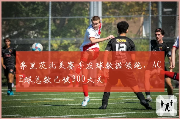 弗里茨北美赛季发球数据领跑，ACE球总数已破300大关