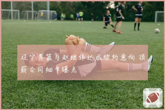 辽宁男篮与赵继伟达成续约意向 顶薪合同细节曝光