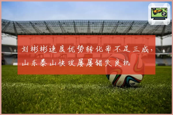 刘彬彬速度优势转化率不足三成，山东泰山快攻屡屡错失良机