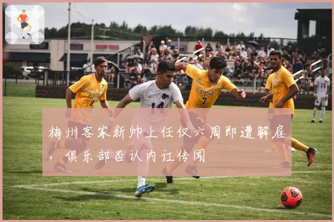 梅州客家新帅上任仅六周即遭解雇，俱乐部否认内讧传闻
